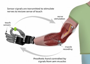 DARPA funded technologies seek to interface between novel prosthetics and the patient’s nervous system