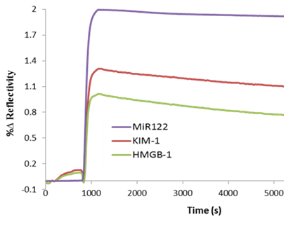Figure 4. NANOenhanced SPRi Assay demonstrates multiplex detection of three biomarkers, MiR122, KIM-1 and HMGB-1 in a single sample.