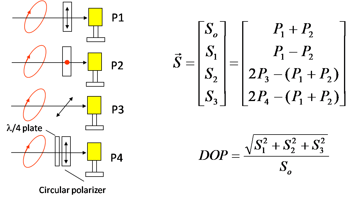 Stokes vector components